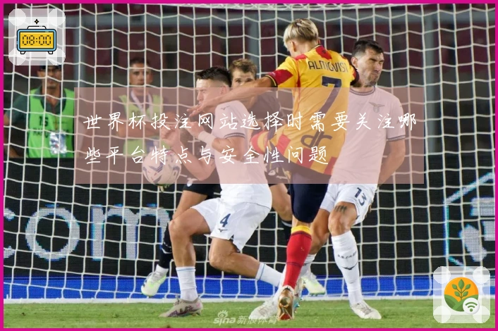 世界杯投注网站选择时需要关注哪些平台特点与安全性问题