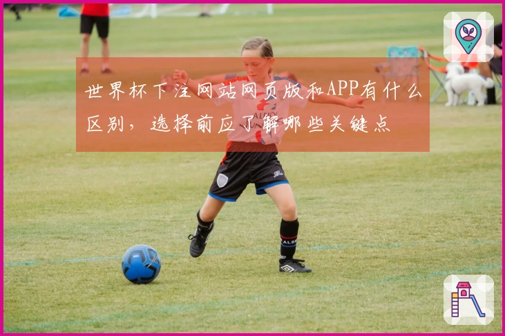 世界杯下注网站网页版和APP有什么区别，选择前应了解哪些关键点