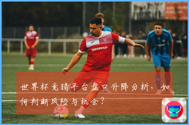 世界杯竞猜平台盘口升降分析，如何判断风险与机会？