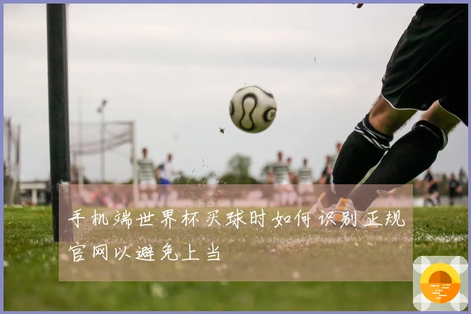 手机端世界杯买球时如何识别正规官网以避免上当