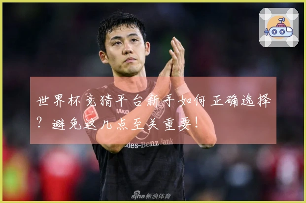 世界杯竞猜平台新手如何正确选择？避免这几点至关重要！