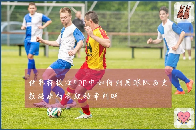 世界杯投注app中如何利用球队历史数据进行有效赔率判断
