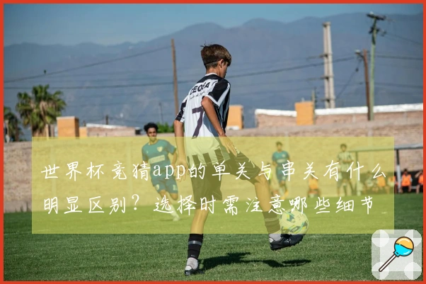世界杯竞猜app的单关与串关有什么明显区别？选择时需注意哪些细节？
