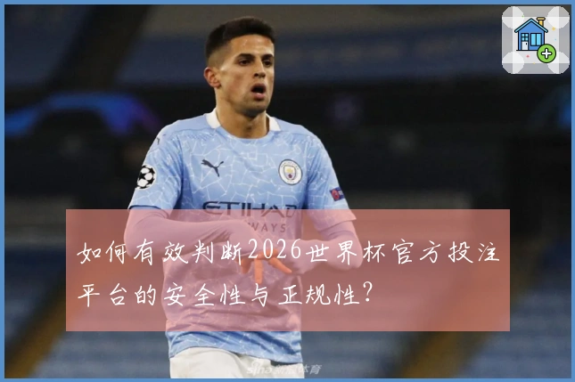 如何有效判断2026世界杯官方投注平台的安全性与正规性？