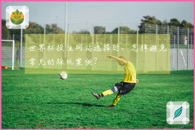 世界杯投注网站选择时，怎样避免常见的踩坑案例？