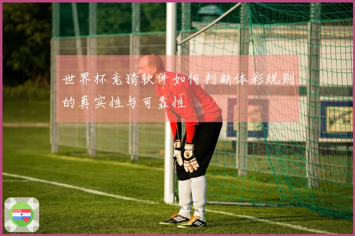 世界杯竞猜软件如何判断体彩规则的真实性与可靠性