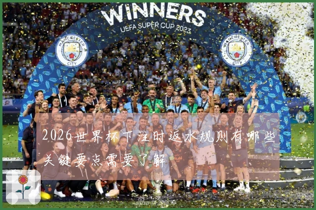 2026世界杯下注时返水规则有哪些关键要点需要了解