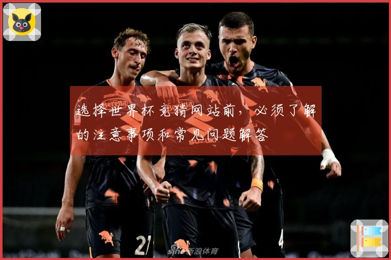 选择世界杯竞猜网站前，必须了解的注意事项和常见问题解答