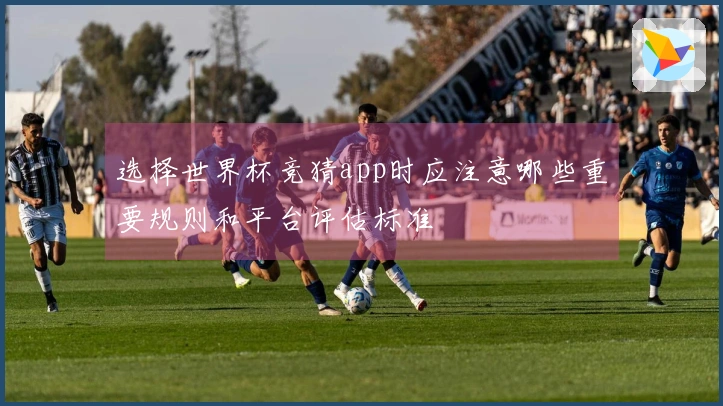 选择世界杯竞猜app时应注意哪些重要规则和平台评估标准