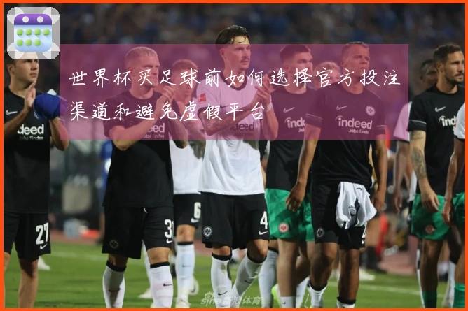 世界杯买足球前如何选择官方投注渠道和避免虚假平台