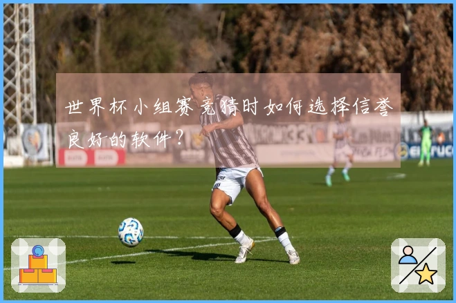 世界杯小组赛竞猜时如何选择信誉良好的软件？