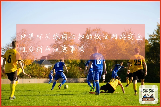 世界杯买球前必知的投注网站安全性分析和注意事项