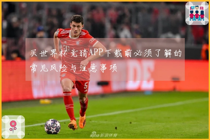 买世界杯竞猜APP下载前必须了解的常见风险与注意事项