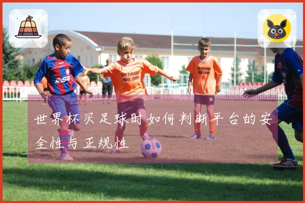 世界杯买足球时如何判断平台的安全性与正规性