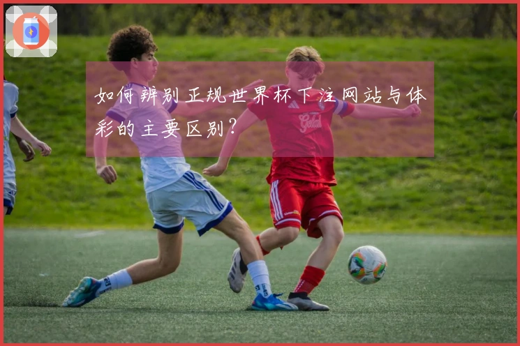 如何辨别正规世界杯下注网站与体彩的主要区别？