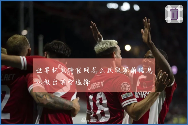 世界杯竞猜官网怎么获取赛前信息以做出明智选择