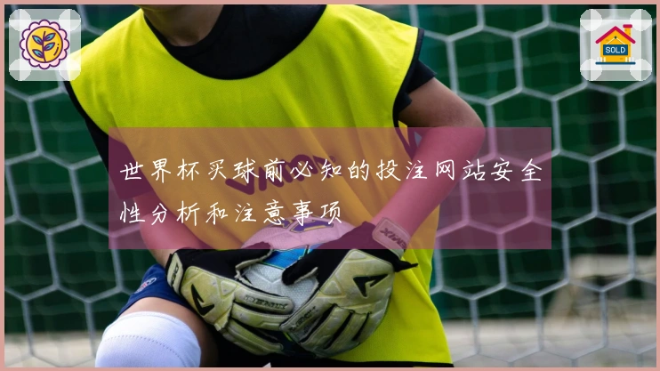 世界杯买球前必知的投注网站安全性分析和注意事项