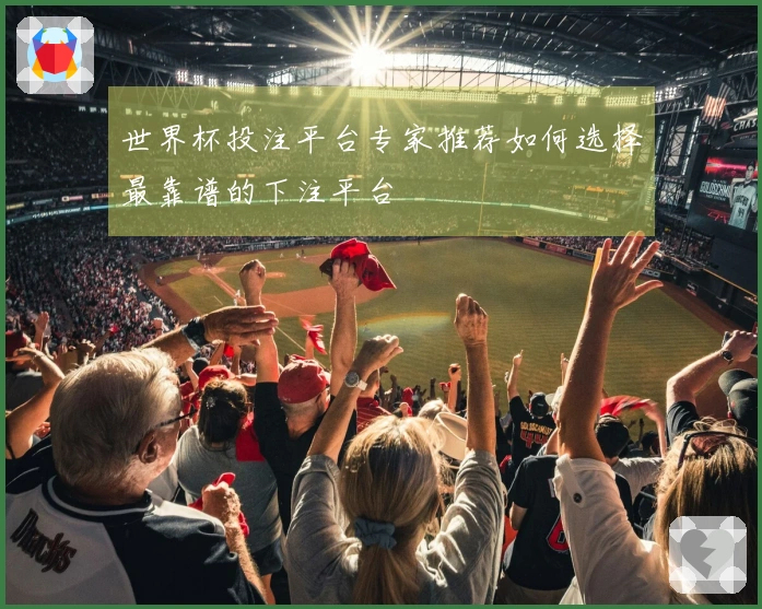 世界杯投注平台专家推荐如何选择最靠谱的下注平台