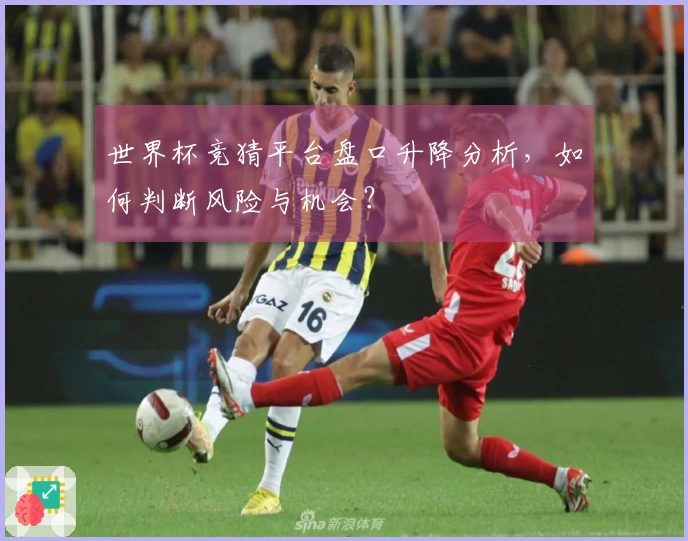 世界杯竞猜平台盘口升降分析，如何判断风险与机会？