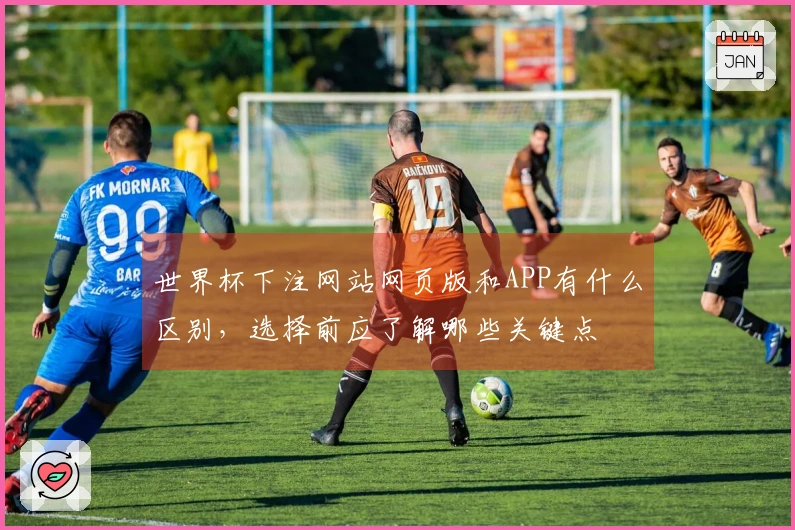 世界杯下注网站网页版和APP有什么区别，选择前应了解哪些关键点