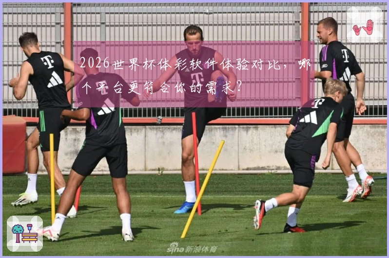 2026世界杯体彩软件体验对比，哪个平台更符合你的需求？