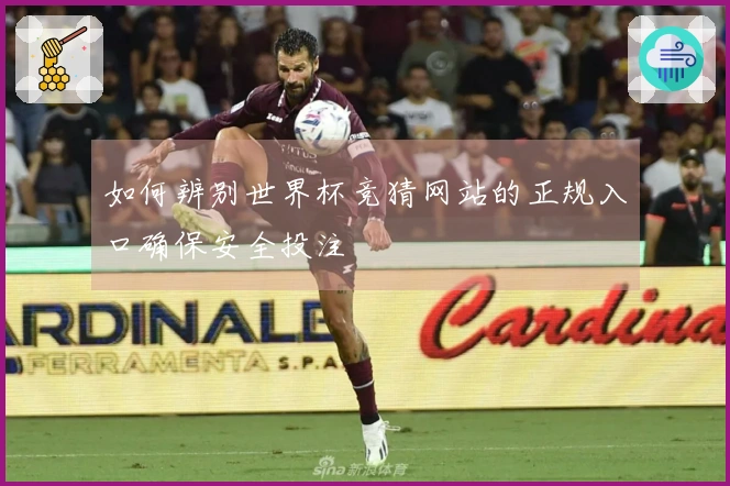 如何辨别世界杯竞猜网站的正规入口确保安全投注