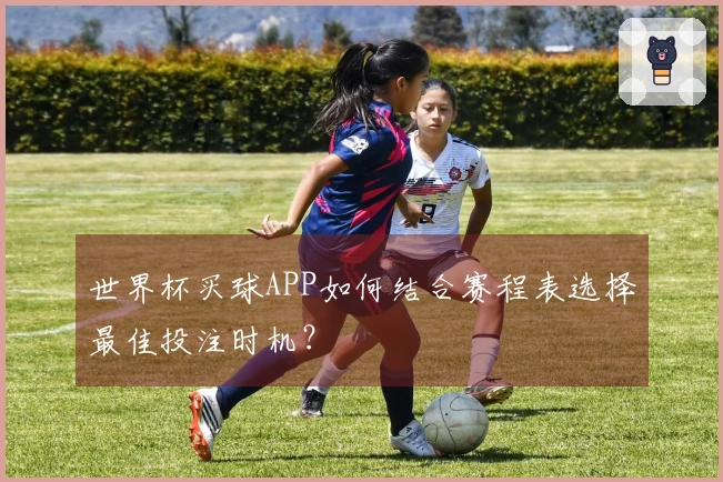 世界杯买球APP如何结合赛程表选择最佳投注时机？