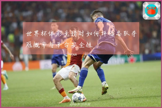 世界杯体彩竞猜时如何评估各队夺冠概率与平台安全性