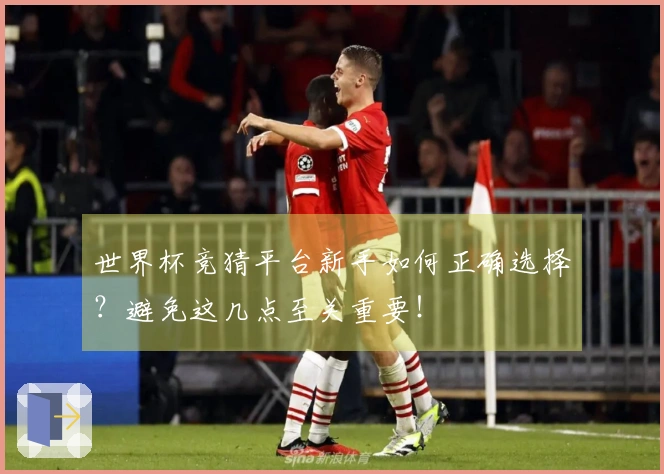 世界杯竞猜平台新手如何正确选择？避免这几点至关重要！