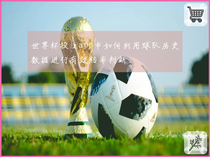 世界杯投注app中如何利用球队历史数据进行有效赔率判断