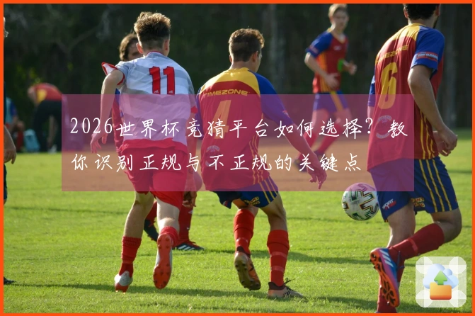 2026世界杯竞猜平台如何选择？教你识别正规与不正规的关键点