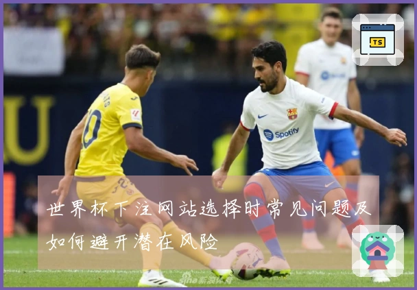 世界杯下注网站选择时常见问题及如何避开潜在风险