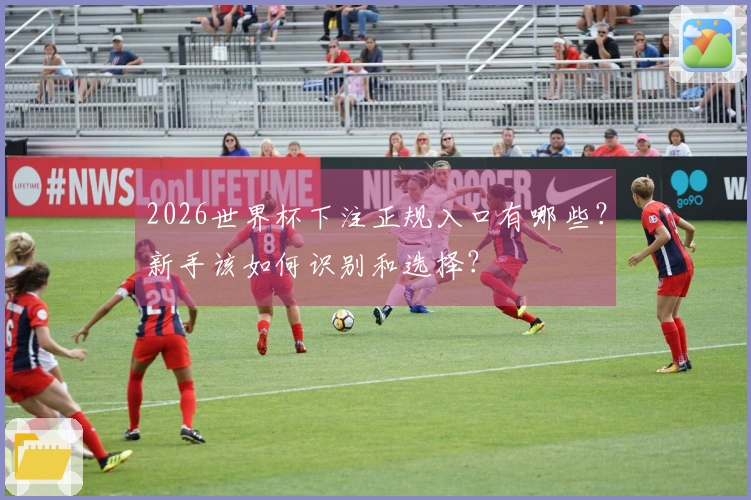 2026世界杯下注正规入口有哪些？新手该如何识别和选择？
