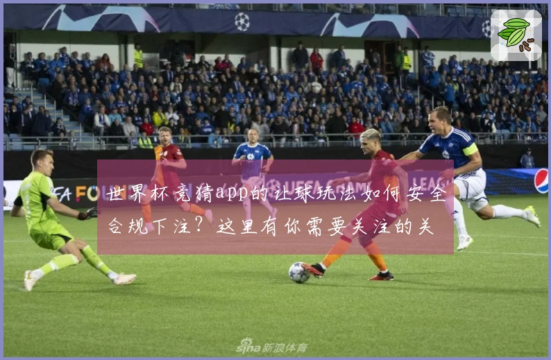 世界杯竞猜app的让球玩法如何安全合规下注？这里有你需要关注的关键点