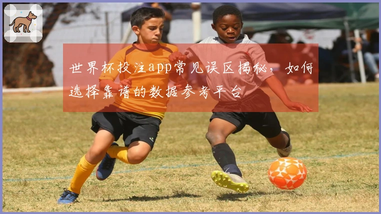世界杯投注app常见误区揭秘，如何选择靠谱的数据参考平台