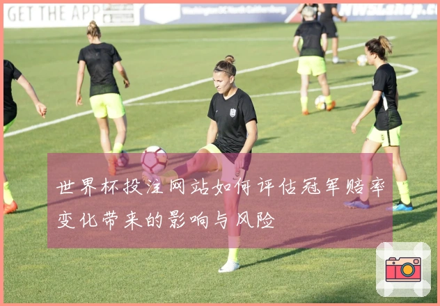 世界杯投注网站如何评估冠军赔率变化带来的影响与风险