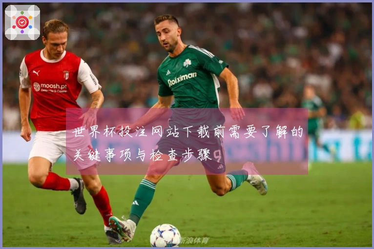 世界杯投注网站下载前需要了解的关键事项与检查步骤